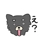 ごましおチワワの日常（個別スタンプ：13）