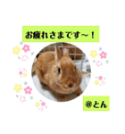 ラブとんちゃん（個別スタンプ：3）