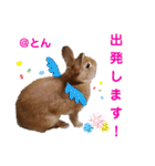 ラブとんちゃん（個別スタンプ：26）