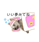 わんことにゃんこ②（個別スタンプ：2）