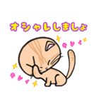 ねこのふわりさん（個別スタンプ：4）