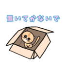 ねこのふわりさん（個別スタンプ：6）
