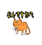 大人気☆猫に限定しがちスタンプLv.1（個別スタンプ：1）