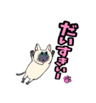 大人気☆猫に限定しがちスタンプLv.1（個別スタンプ：2）