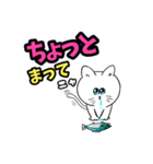 大人気☆猫に限定しがちスタンプLv.1（個別スタンプ：3）