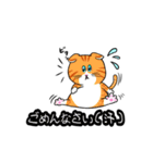 大人気☆猫に限定しがちスタンプLv.1（個別スタンプ：5）