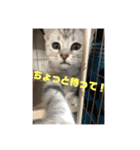 ジィルスタンプ（個別スタンプ：7）