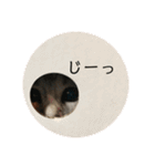 ジィルスタンプ（個別スタンプ：8）