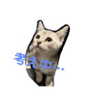 ジィルスタンプ（個別スタンプ：9）