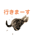 ジィルスタンプ（個別スタンプ：10）