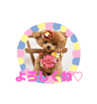 6.Hana（個別スタンプ：4）