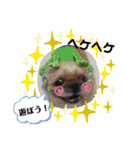 ぶーちゃんヤッホー（個別スタンプ：4）