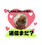 ぶーちゃんヤッホー（個別スタンプ：9）