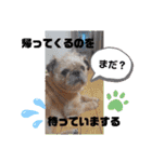 ぶーちゃんヤッホー（個別スタンプ：10）