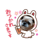 ぶーちゃんヤッホー（個別スタンプ：14）