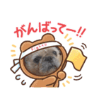 ぶーちゃんヤッホー（個別スタンプ：19）