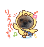 ぶーちゃんヤッホー（個別スタンプ：20）