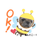 ぶーちゃんヤッホー（個別スタンプ：22）