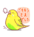 セキセイインコのハルクイーンズ！（個別スタンプ：22）