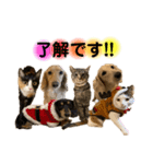 lou.cookie.caramel.sora.saku.ran（個別スタンプ：3）