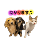 lou.cookie.caramel.sora.saku.ran（個別スタンプ：8）