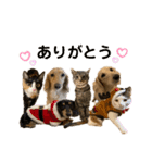 lou.cookie.caramel.sora.saku.ran（個別スタンプ：10）