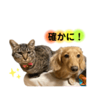 lou.cookie.caramel.sora.saku.ran（個別スタンプ：14）