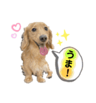 lou.cookie.caramel.sora.saku.ran（個別スタンプ：18）