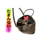 lou.cookie.caramel.sora.saku.ran（個別スタンプ：19）