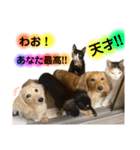 lou.cookie.caramel.sora.saku.ran（個別スタンプ：23）