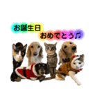 lou.cookie.caramel.sora.saku.ran（個別スタンプ：24）