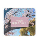 綺麗な景色と優しさスタンプ 2（個別スタンプ：4）