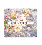 綺麗な景色と優しさスタンプ 2（個別スタンプ：6）
