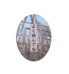 綺麗な景色と優しさスタンプ 2（個別スタンプ：8）