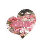 綺麗な景色と優しさスタンプ 2（個別スタンプ：12）