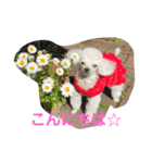 とむはうすの家族（個別スタンプ：1）