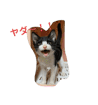 とむはうすの家族（個別スタンプ：2）