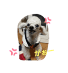 とむはうすの家族（個別スタンプ：4）