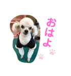 とむはうすの家族（個別スタンプ：7）