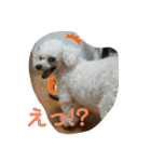 とむはうすの家族（個別スタンプ：10）