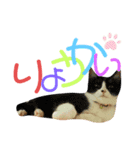 ネイマールカカズッコ（個別スタンプ：5）