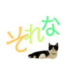 ネイマールカカズッコ（個別スタンプ：10）
