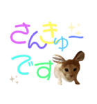 ネイマールカカズッコ（個別スタンプ：11）
