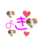 ネイマールカカズッコ（個別スタンプ：12）
