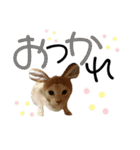 ネイマールカカズッコ（個別スタンプ：13）