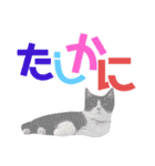 ネイマールカカズッコ（個別スタンプ：15）