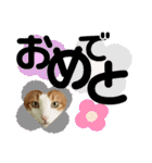 ネイマールカカズッコ（個別スタンプ：16）