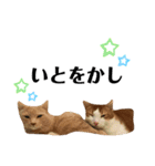 ネイマールカカズッコ（個別スタンプ：23）