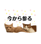 ネイマールカカズッコ（個別スタンプ：27）