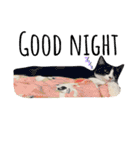 ネイマールカカズッコ（個別スタンプ：28）